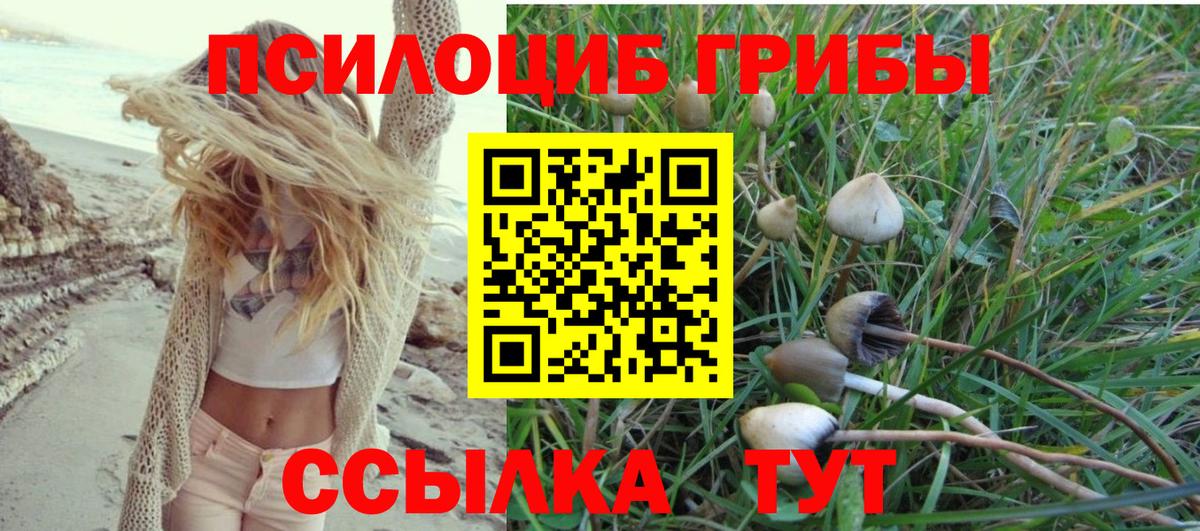 Галлюциногенные грибы Psilocybe  Вход с VPN  Мыски 